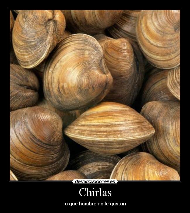 Chirlas - a que hombre no le gustan
