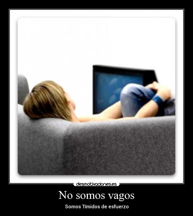 carteles somos vagos desmotivaciones