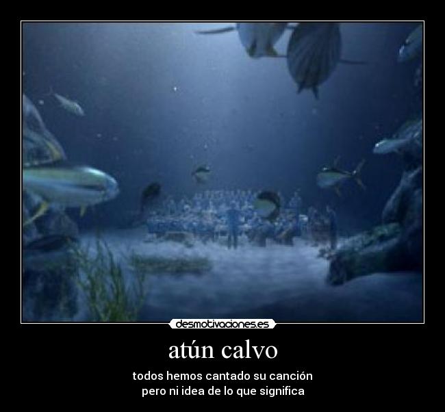 carteles atun calvo desmotivaciones