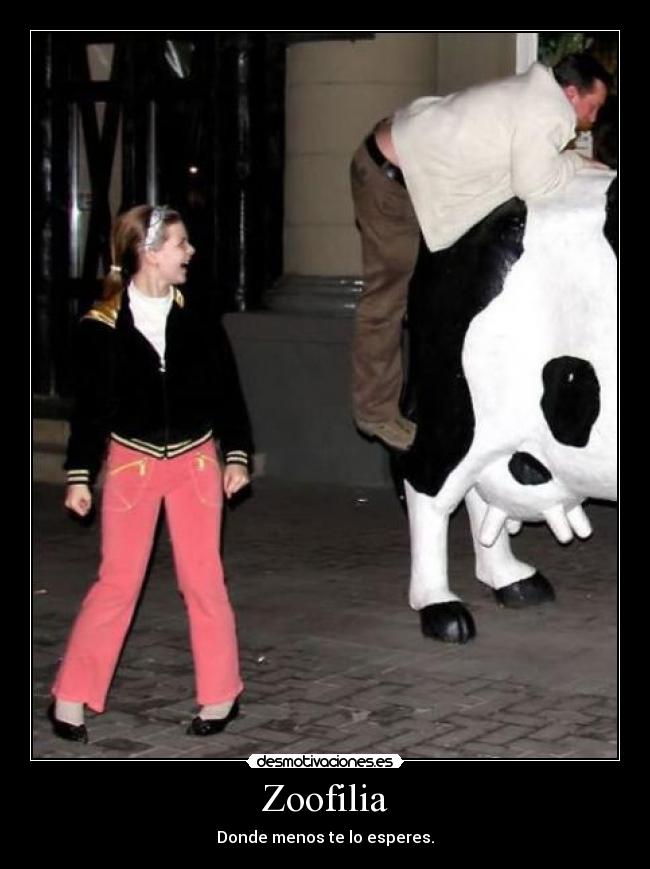 carteles lol desmotivaciones