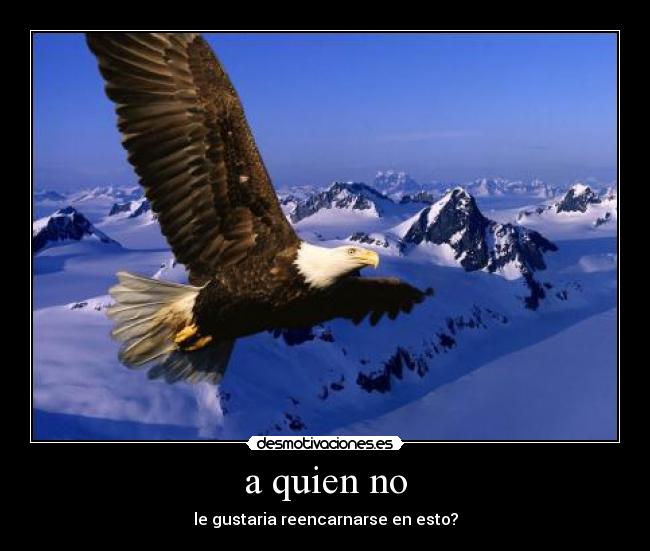 a quien no - le gustaria reencarnarse en esto?