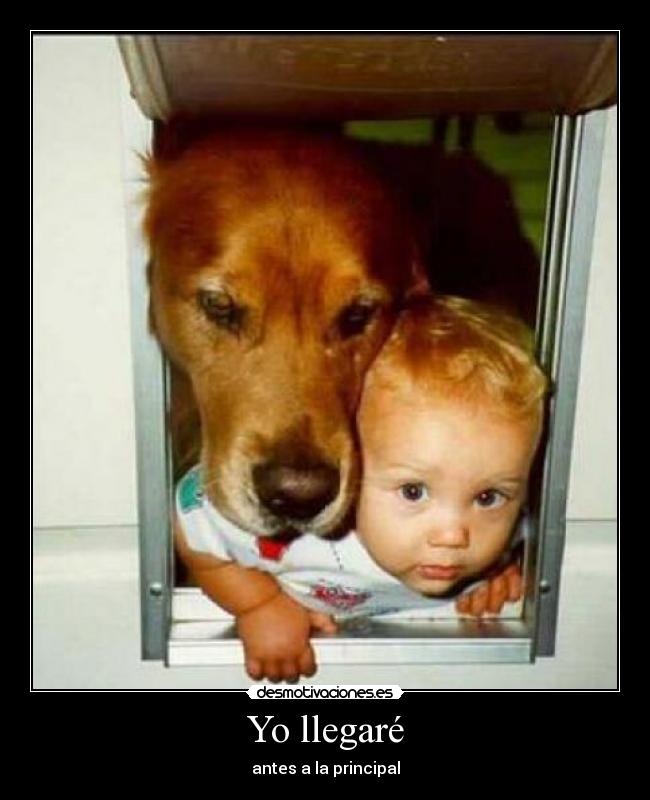 Yo llegaré - antes a la principal
