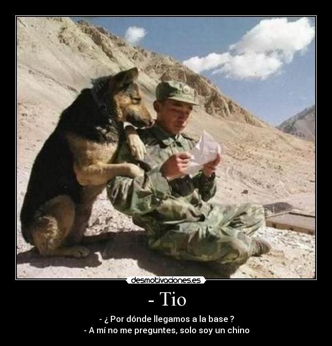 - Tio - - ¿ Por dónde llegamos a la base ?
- A mí no me preguntes, solo soy un chino