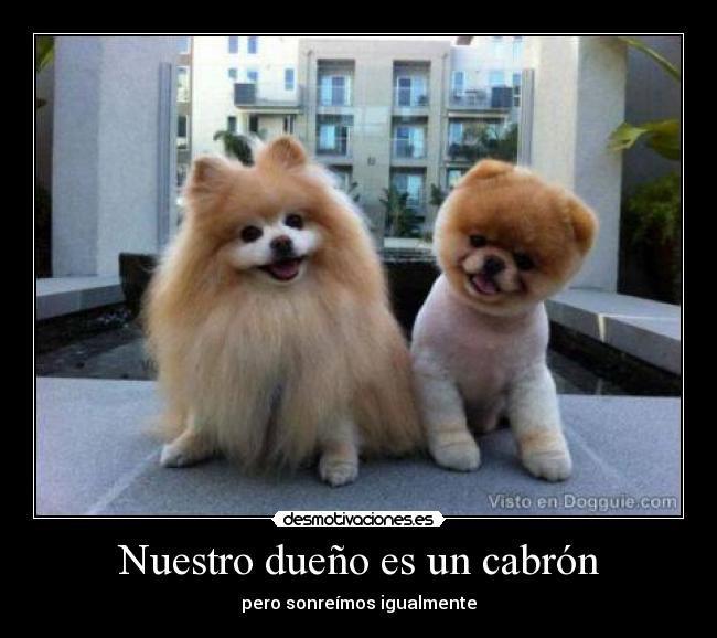 Nuestro dueño es un cabrón -