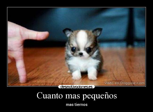 Cuanto mas pequeños - mas tiernos