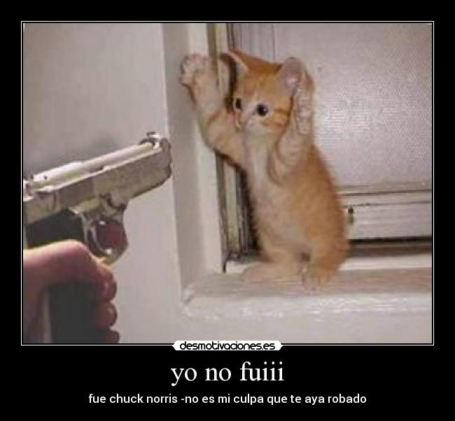 yo no fuiii -