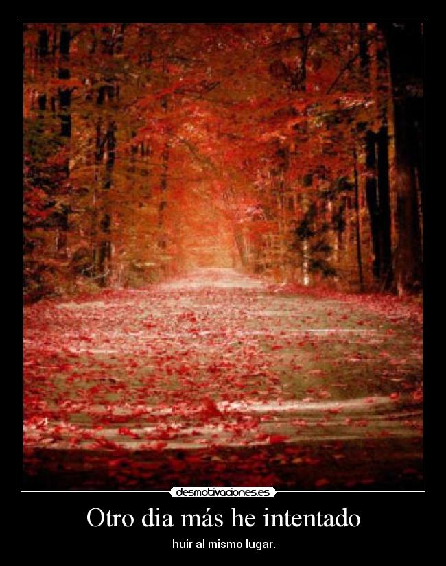 Otro dia más he intentado - 