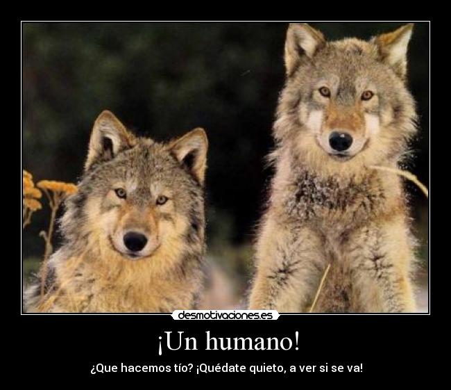 ¡Un humano! - ¿Que hacemos tío? ¡Quédate quieto, a ver si se va!