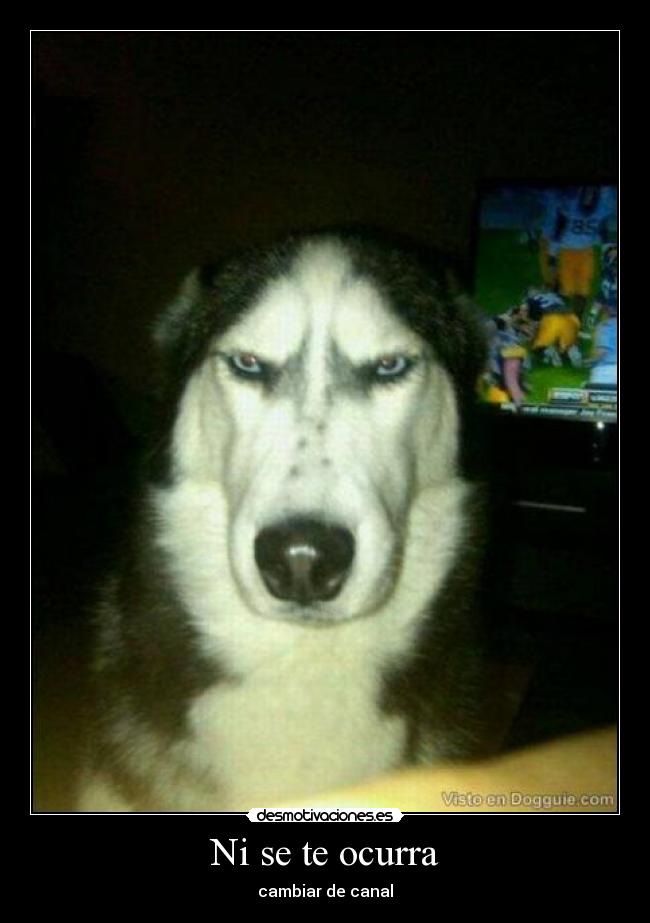Ni se te ocurra - cambiar de canal