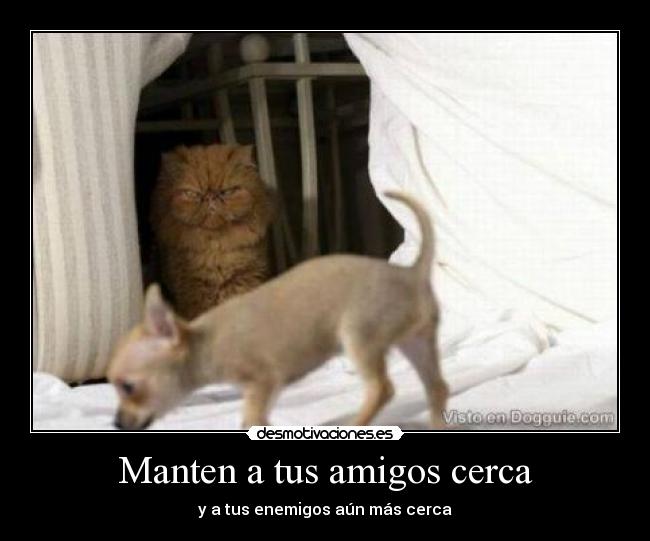 Manten a tus amigos cerca - y a tus enemigos aún más cerca