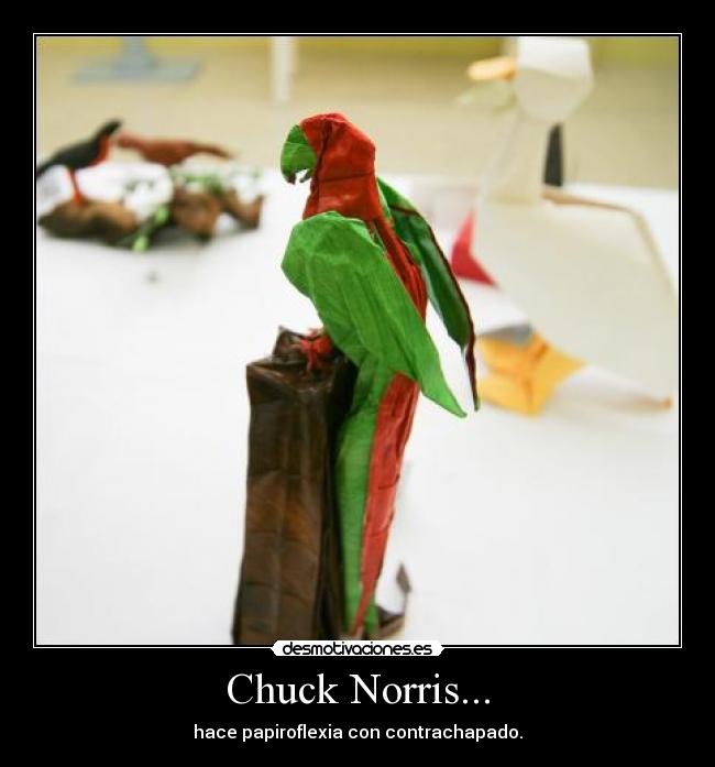 Chuck Norris... - 