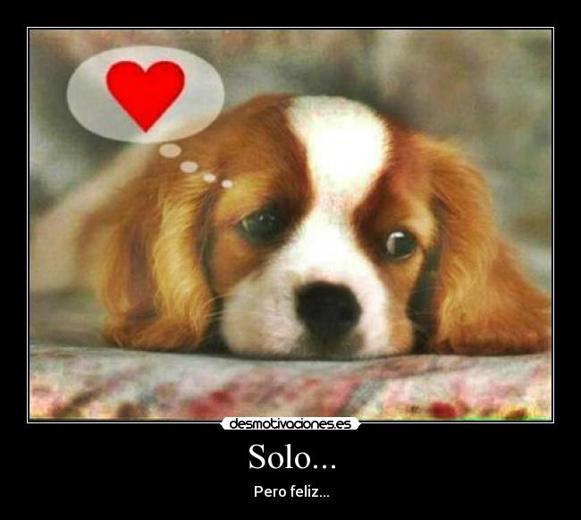 Solo... -