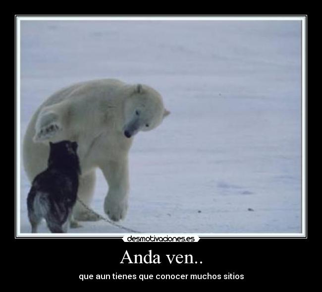 Anda ven.. - que aun tienes que conocer muchos sitios