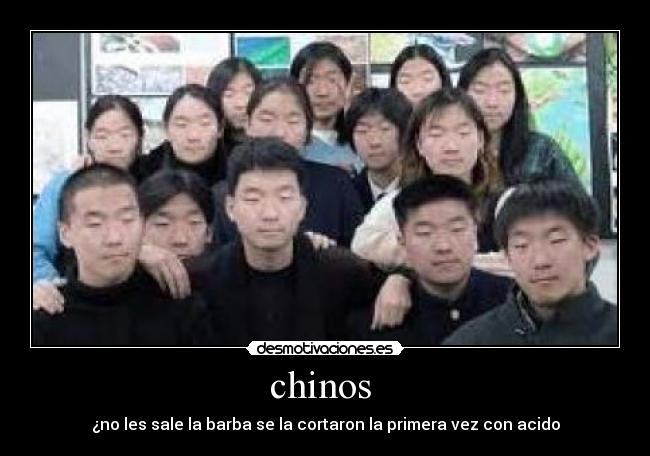 chinos  - 