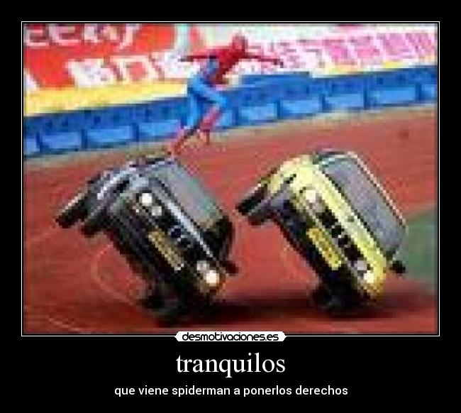 tranquilos - que viene spiderman a ponerlos derechos