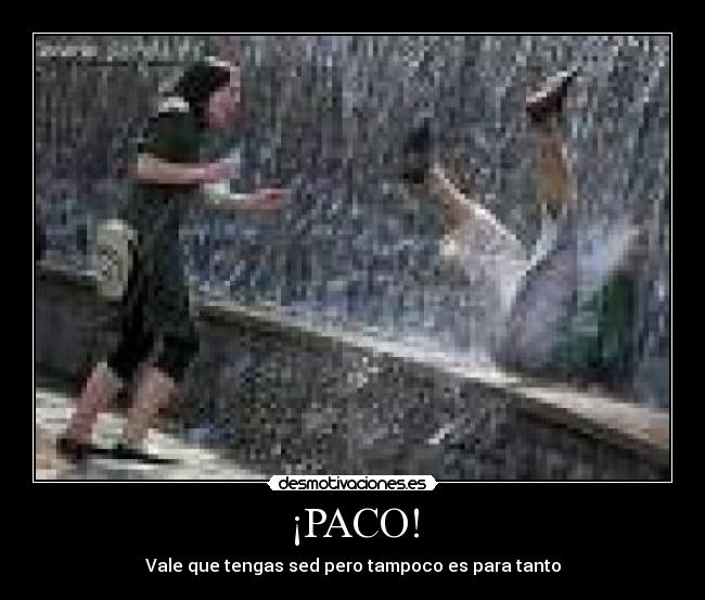 ¡PACO! -