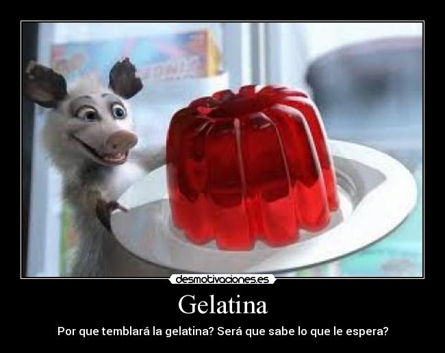 Gelatina -