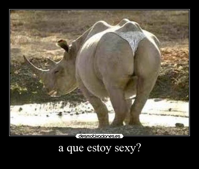 a que estoy sexy? - 