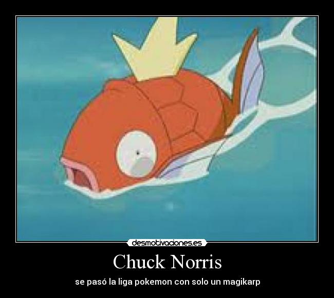 Chuck Norris -