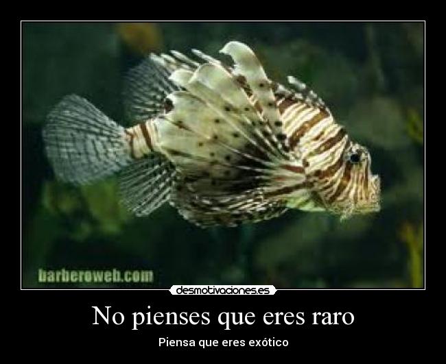 No pienses que eres raro - 