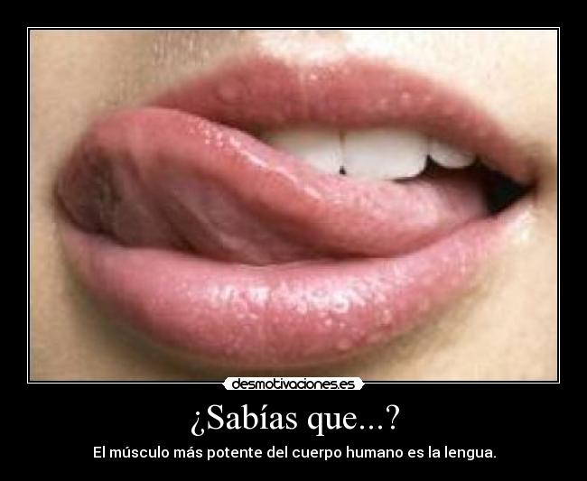 ¿Sabías que...? - El músculo más potente del cuerpo humano es la lengua.