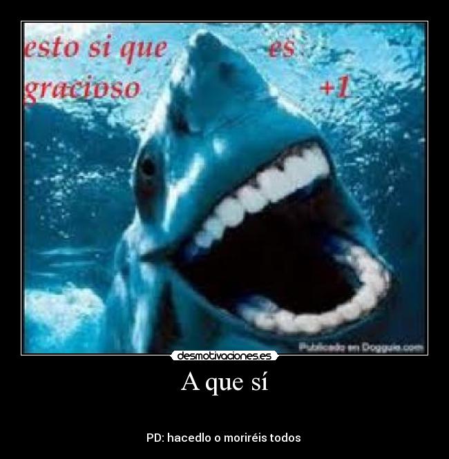 A que sí -