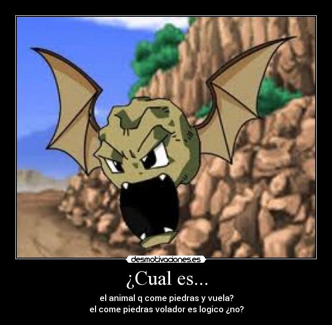 ¿Cual es... - el animal q come piedras y vuela?
el come piedras volador es logico ¿no?