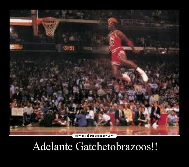 Adelante Gatchetobrazoos!! - 