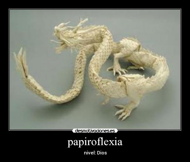 papiroflexia -