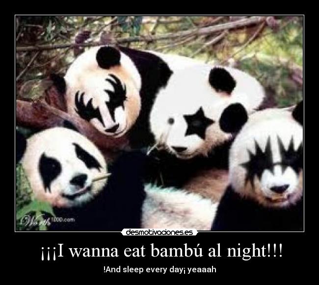 ¡¡¡I wanna eat bambú al night!!! - 