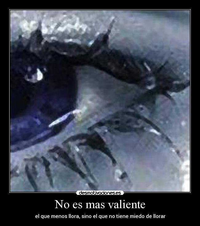 No es mas valiente - el que menos llora, sino el que no tiene miedo de llorar