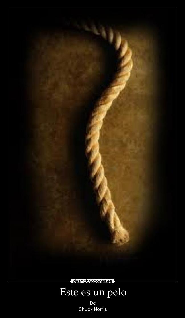 Este es un pelo - De
Chuck Norris