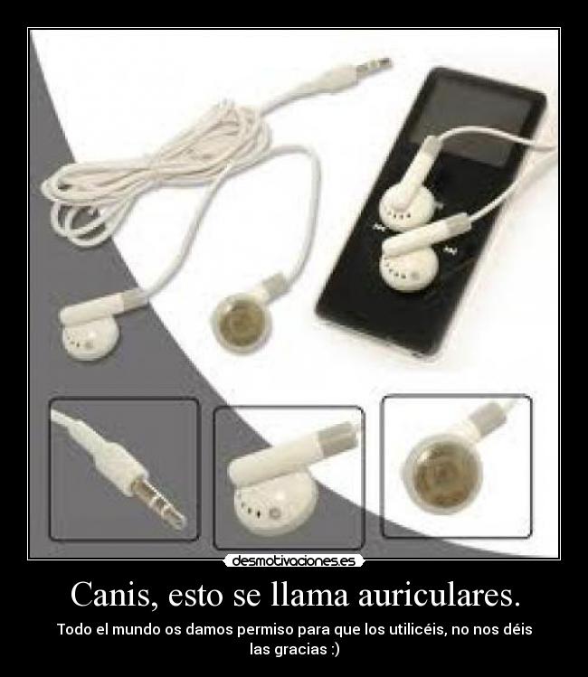 Canis, esto se llama auriculares. -