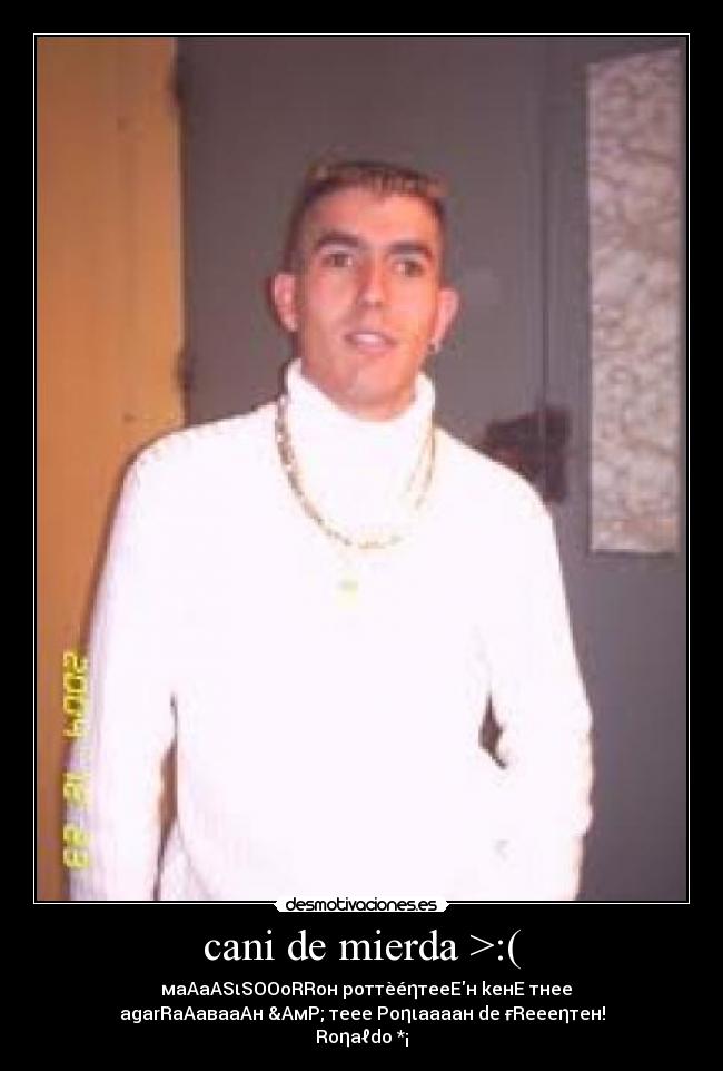 cani de mierda >:( - ♥ мaAaASιSOOoRRoн poттèéηтeeEн keнE тнee
agarRaAaвaaAн &AмP; тeee Poηιaaaaн de ғReeeηтeн!
Roηaℓdo *¡ツ