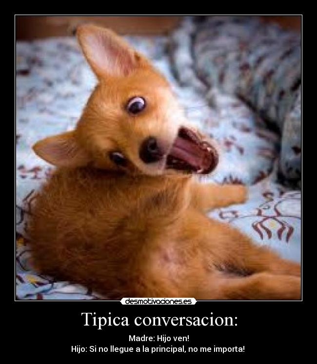Tipica conversacion: - Madre: Hijo ven!
Hijo: Si no llegue a la principal, no me importa!