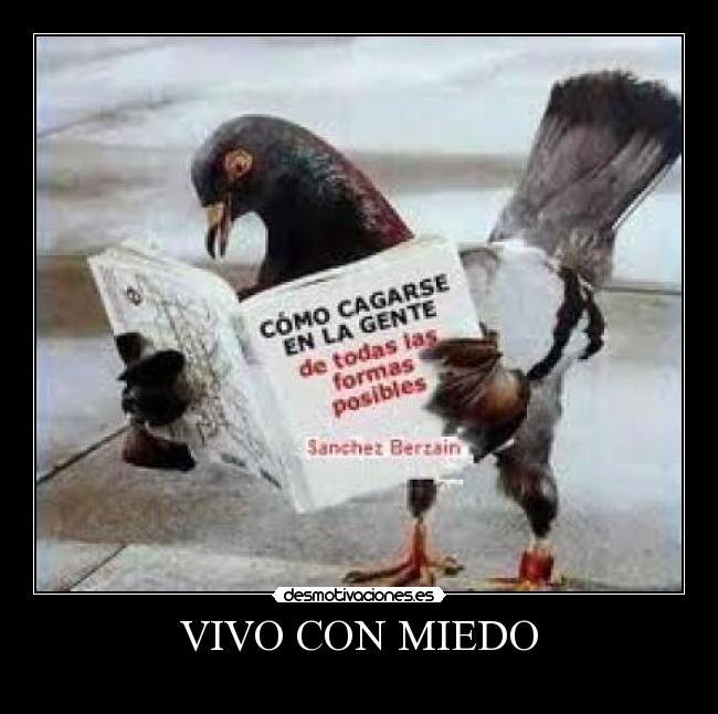 VIVO CON MIEDO -