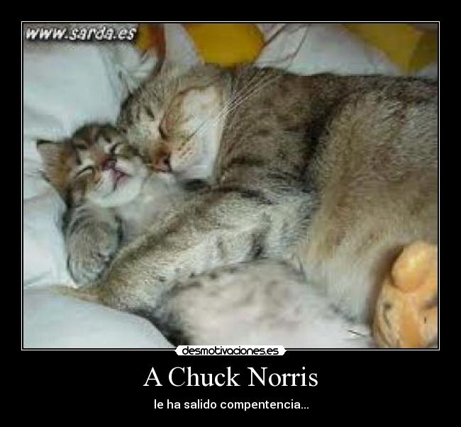 A Chuck Norris - 