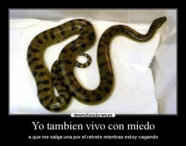 Yo tambien vivo con miedo -