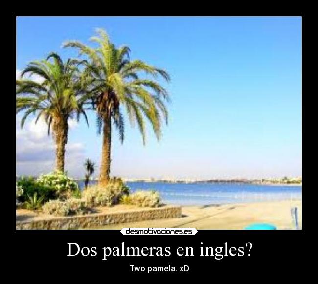 Dos palmeras en ingles? - 
