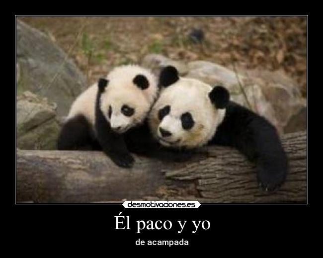 carteles alejun desmotivaciones