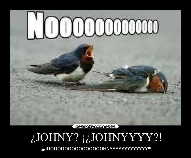 ¿JOHNY? ¡¿JOHNYYYY?! -