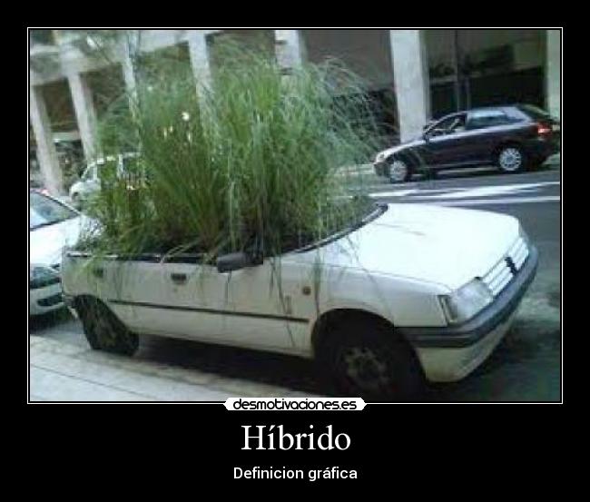 Híbrido - 