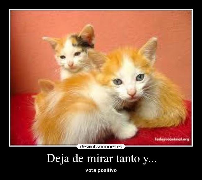 Deja de mirar tanto y... -