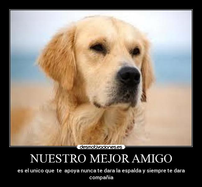NUESTRO MEJOR AMIGO -