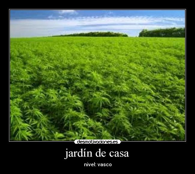 jardín de casa -