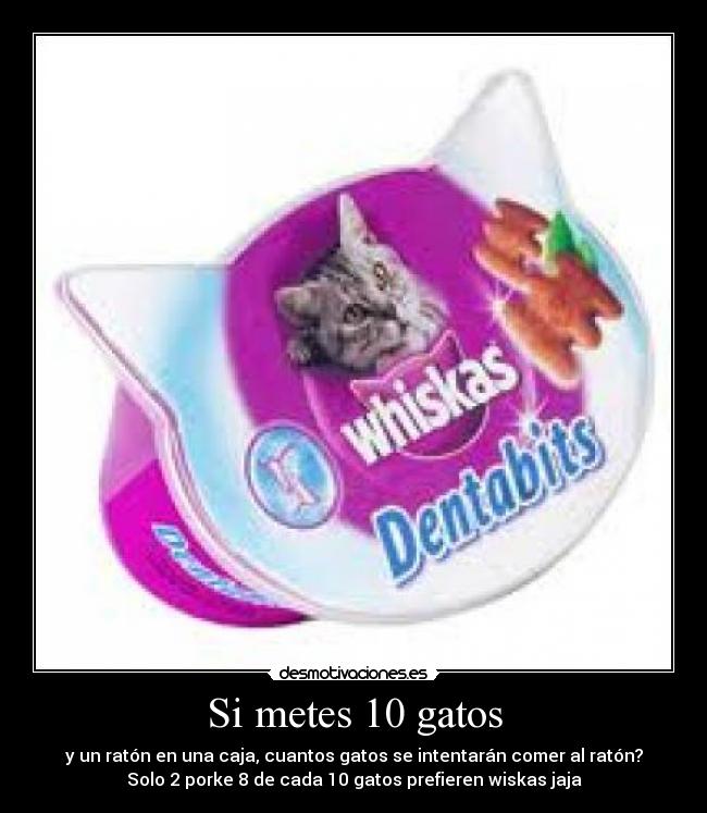 Si metes 10 gatos -