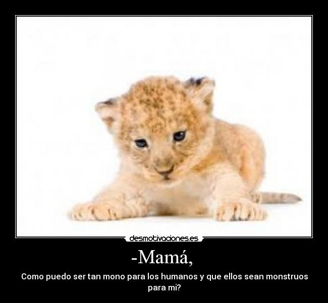 -Mamá,  - 