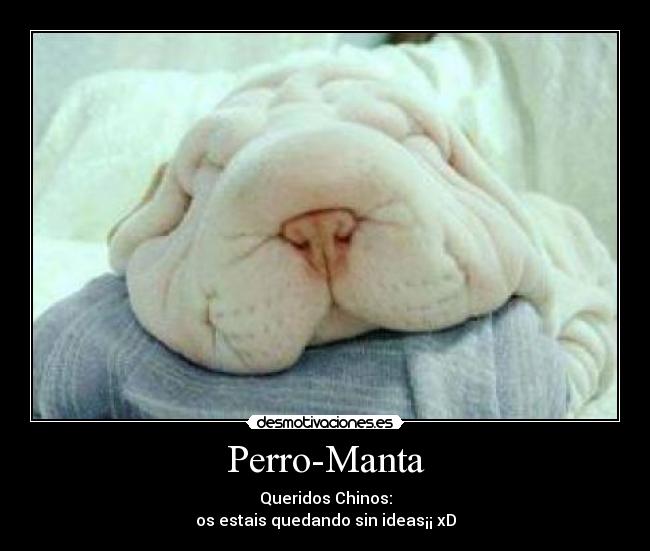 carteles sharpeidogperrotoallamanta desmotivaciones