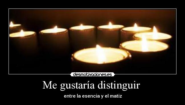 Me gustaría distinguir - entre la esencia y el matiz