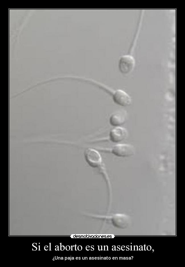 Si el aborto es un asesinato, - ¿Una paja es un asesinato en masa?